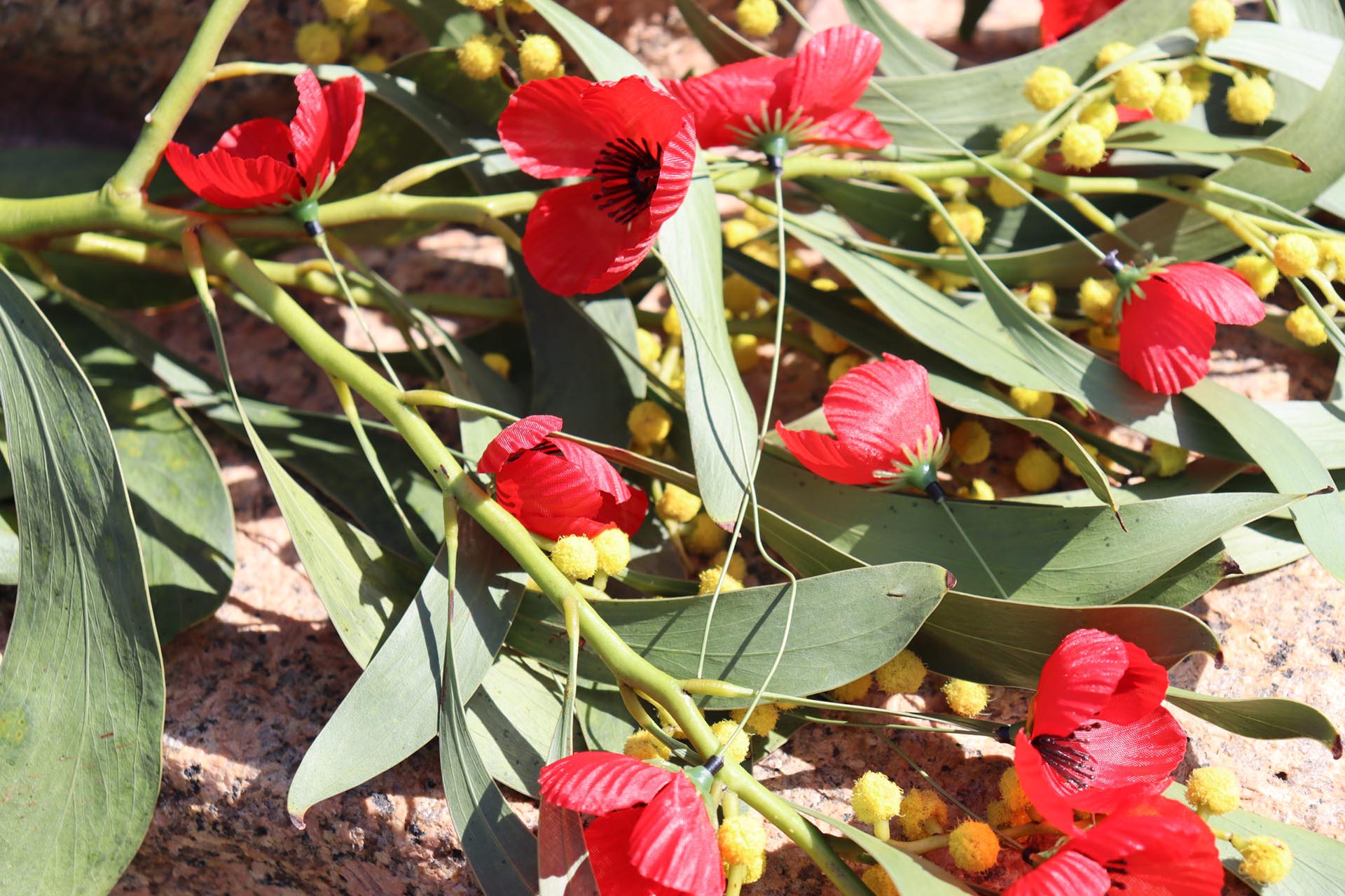 A close up photo of artificial poppies and golden wattle foliage on a memorial