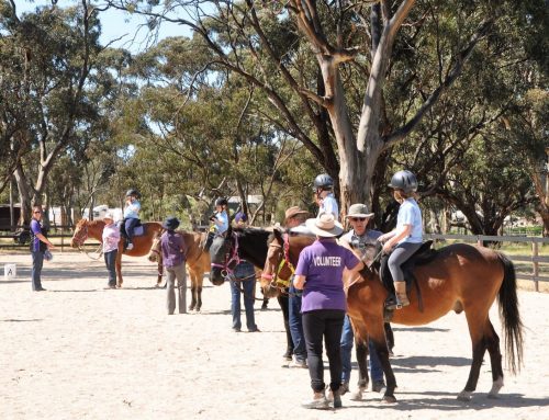 $300,000 boost for veteran wellbeing programs